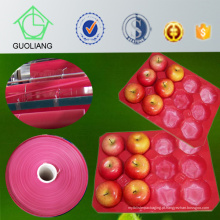 Recipiente da exposição do fruto do polipropileno do uso de 29X39cm Walmarket para Apple fresco que empacota com FDA, certificado do GV